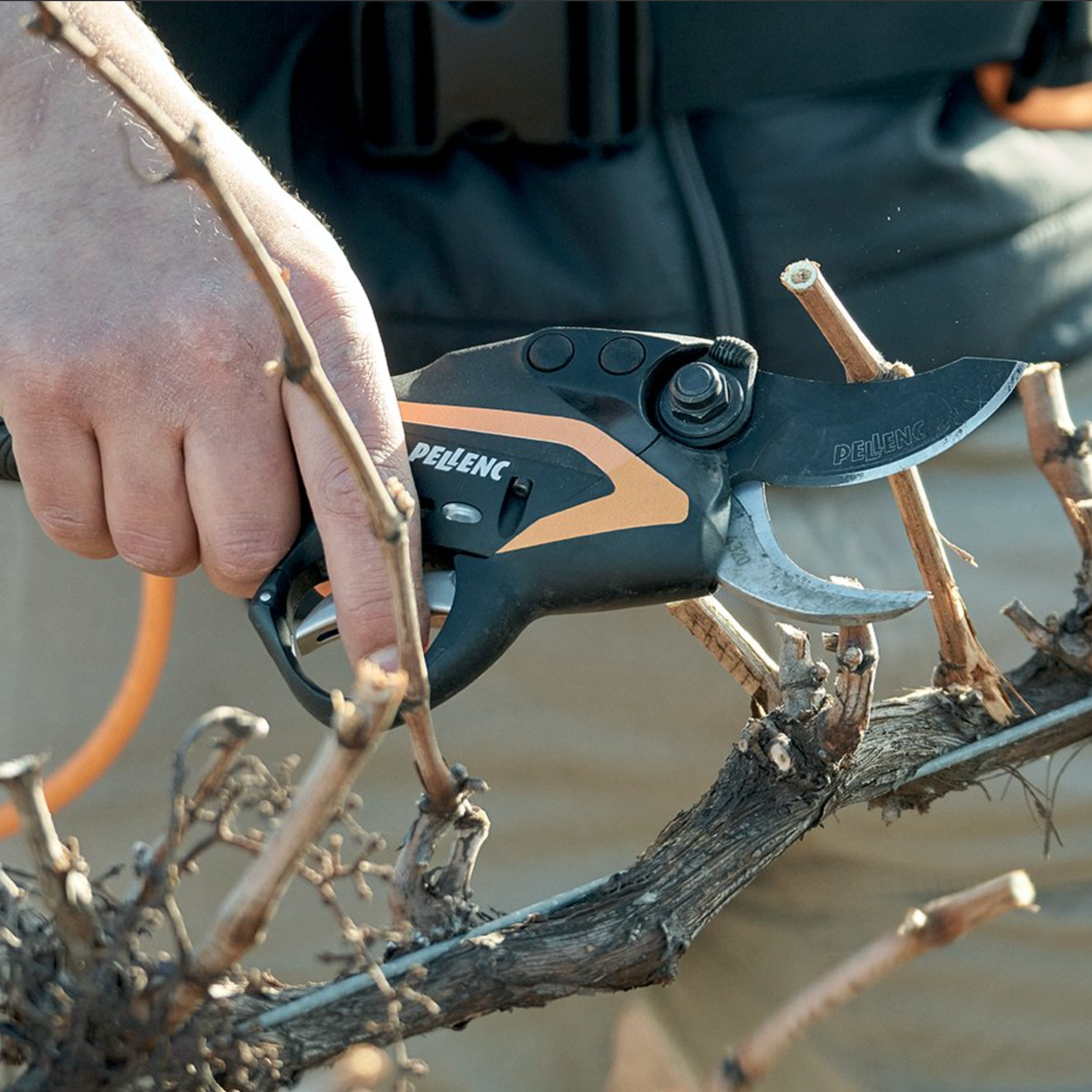 Køb din Pellenc Grensaks hos Nomaco